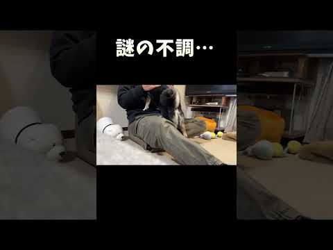 謎の不調 サムネイル