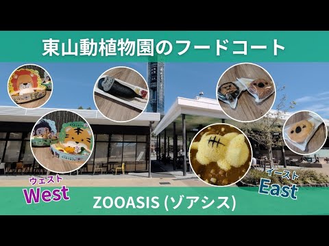 【東山動植物園】東山動植物園のフードコートZOOASIS（ゾアシス）🍴✨ サムネイル