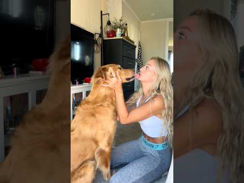 Bikini Try-On Haul | 4K Transparent Lingerie & See-Through… サムネイル