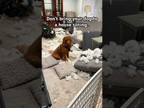 It’s fine, everything’s fine 😵‍💫 サムネイル