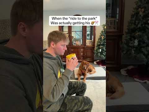 What was I supposed to tell him? 🤷‍♂️ サムネイル