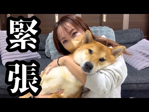 新年早々とんでもない事になりましたので、お話させてください サムネイル