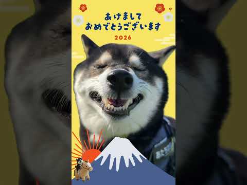2026年あけましておめでとうな柴犬 サムネイル
