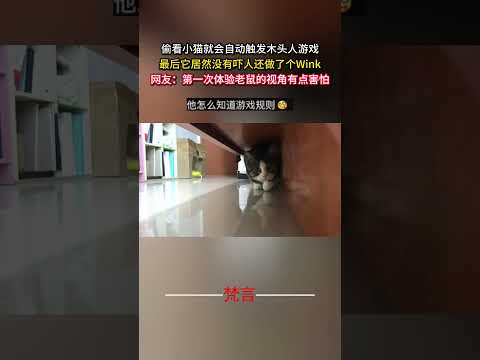 偷看小貓就會自動觸發木頭人遊戲 最後它居然沒有嚇人還做了個Wink 貓 意外 可愛 有趣 萬萬沒想到 cat amaz… サムネイル