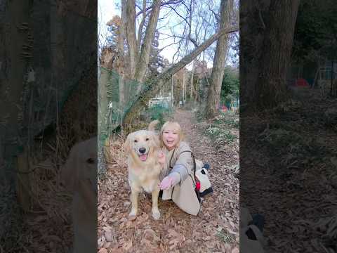 こんなに手軽なドローンがあるなんて驚き！HOVERAir X1 Smartで撮影してみました📸PRドローンゴールデンレ… サムネイル