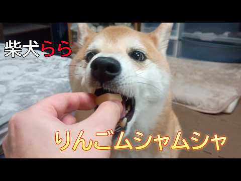 りんごムシャムシャ サムネイル
