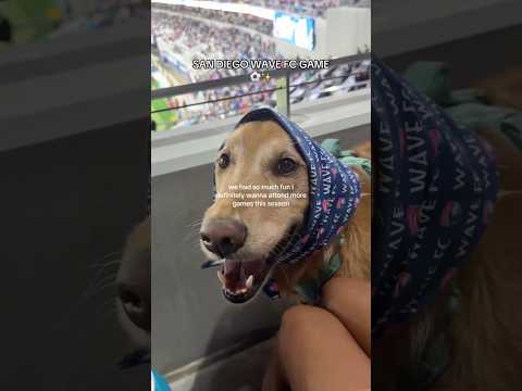 Transparent Lingerie & See-through Styles Shein 2025 Bikini… サムネイル