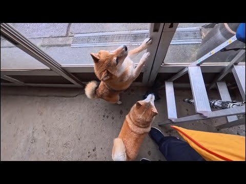 あんよ綺麗に拭いた時に限って泥の上に向かう法則 サムネイル