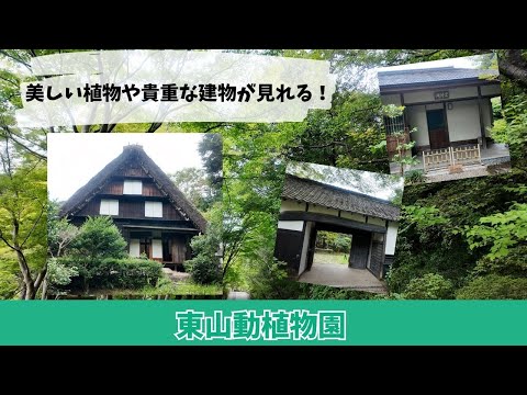 【東山動植物園】美しい植物や貴重な建物が見れる！東山動植物園の植物園🍃 サムネイル