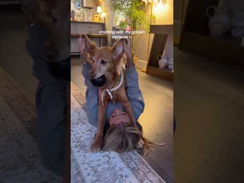 Come to my golden retriever 2026blonde goldenretreiver dogb… サムネイル