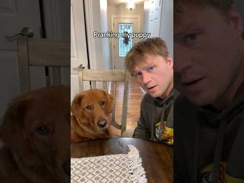 Worst prank video ever! サムネイル