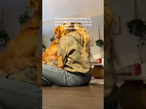 conversations with my golden retriever🥺goldenretreivers dog… サムネイル