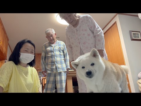 【年１の大勝負】家族みんなで有馬記念したら、まさかの結果に大盛り上がりで踊り狂いました。 サムネイル