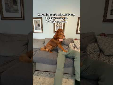 What do you think he thought? サムネイル