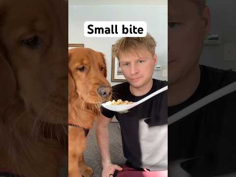 Small bite challenge 😏 サムネイル