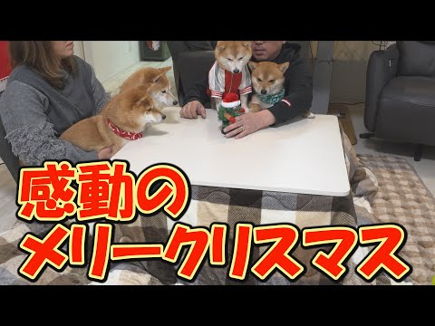 手作り料理を与えることができないクリスマスは、一生忘れられない一日になりました。 サムネイル