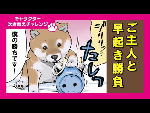 【吹き替えチャレンジ】早起き勝負に連勝する柴犬 サムネイル