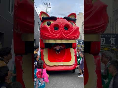 #shorts 酒田大獅子　日和　獅子パックン　酒田まつり サムネイル
