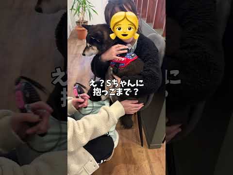 扱いの違いを疑問に思う胡麻柴🐕 サムネイル