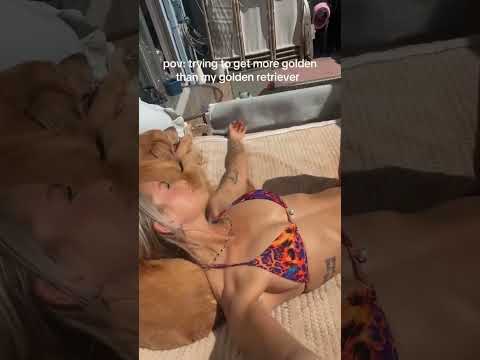 dog-tor coby to rescue🛟goldenpup puppy goldenpupppy dogbree… サムネイル