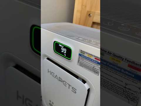 ASMR in House Cleaning🧽india retreiver dog puppy goldenretr… サムネイル