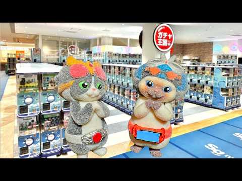 【ガチャ活】新作ガチャガチャ49連！香川県遠征！ガチャ王国！ サムネイル