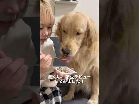 美味しいのか美味しくないのか反応がとっても分かりにくいですが、食いつきが良いということは美味しいんだと思います🤣ゴール… サムネイル