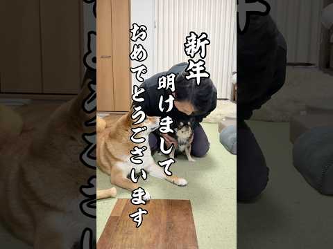 本日からおみくじステッカーが発売中！詳細はインスタグラムをチェック！ サムネイル