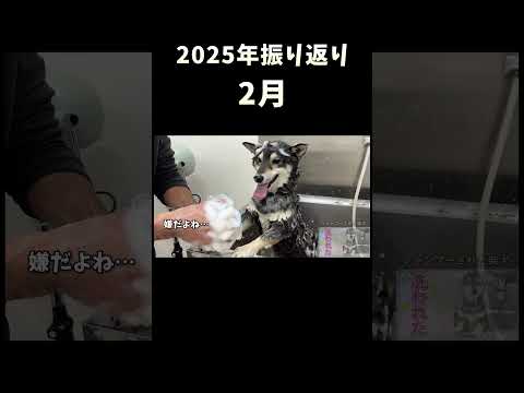 2025年振り返り_2月 サムネイル