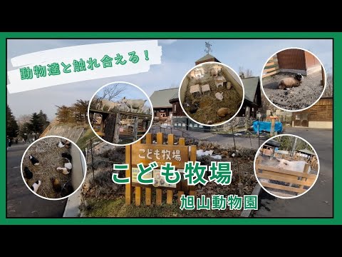 【旭山動物園】こども牧場［Asahiyama Zoo］ Children's Farm✨ サムネイル