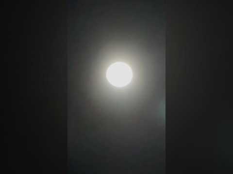 shorts スノームーンまでもう少し　那須高原にて　2026年2月1日 サムネイル