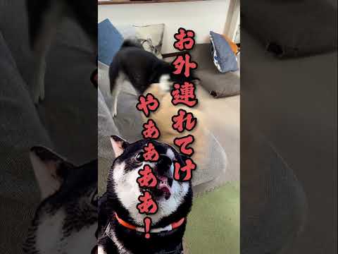 誰か助けて下さい サムネイル