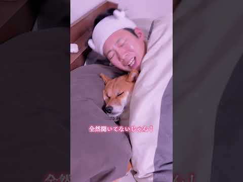 久しぶりね。私達まだ続いてるのよ👩　柴犬 shorts 不倫 サムネイル