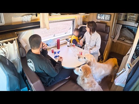 【車中泊】おしゃれな流木を求めて家族で海に行ってきました サムネイル