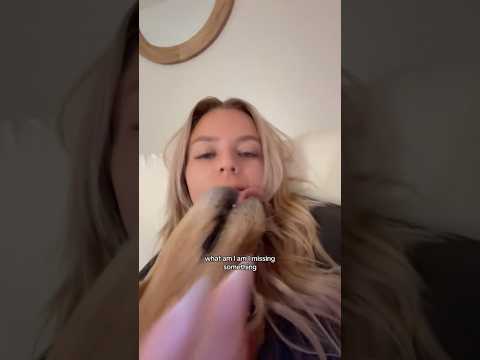 coming home to my golden retriever🥵goldenretreivers dog pup… サムネイル