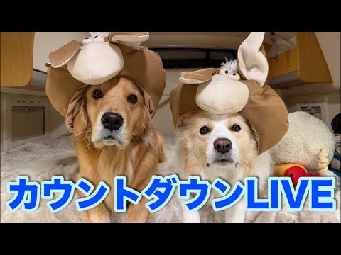 カウントダウンLIVE!!2025年ありがとうございました サムネイル