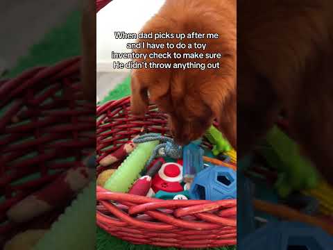 You think he noticed?🤫 サムネイル