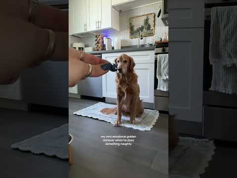 Bikini Try-On Haul | 4K Transparent Lingerie & See-Through… サムネイル