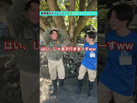 サル班の絆を試す！ジェスチャーゲーム挑戦🔥 サムネイル