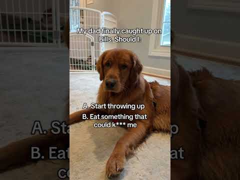 Why does he do this to me 😭 サムネイル