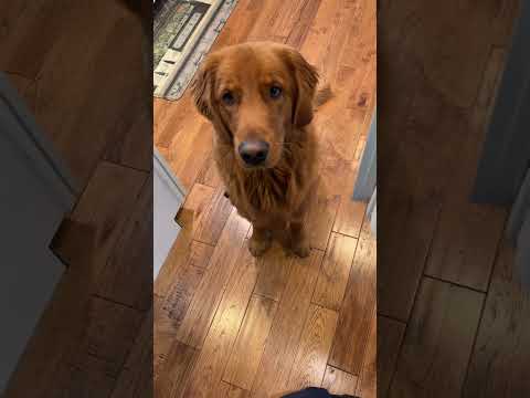 I love my shadow 😊 サムネイル