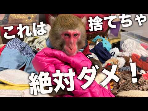 ３年前に亡くなった親友の遺品を見つけたお猿さんの行動が信じられませんでした… サムネイル