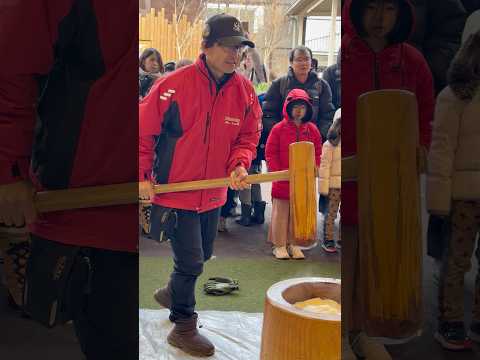 shorts 餅つき一投目は支配人さんから　那須どうぶつ王国にて　2026年1月1日 サムネイル
