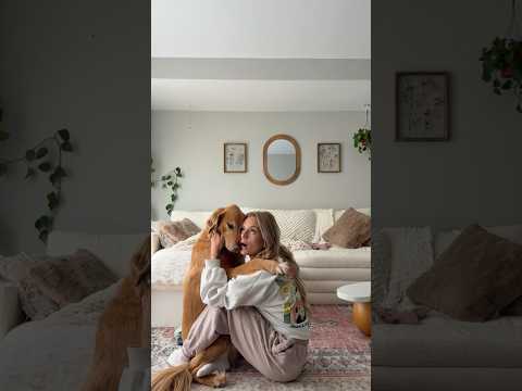 coming home to my golden retriever🥵goldenretreivers dog pup… サムネイル
