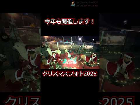クリスマスフォト2025開催します！#東武動物公園#癒し#動物#クリスマス#かわいい#動物園 サムネイル