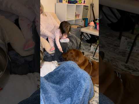 Baby + Puppy = Best Friends 🤝 サムネイル