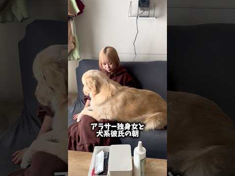 最近朝寒くてなかなか起きられないんですよね⋯ ゴールデンレトリバー 大型犬のいる生活 犬と2人暮らし サムネイル