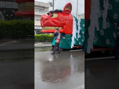 shorts 酒田大獅子　桜🌸　獅子パックン　酒田まつり サムネイル
