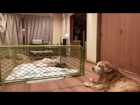 夜のライブ サムネイル