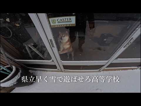 県立早く雪で遊ばせろ高等学校 サムネイル